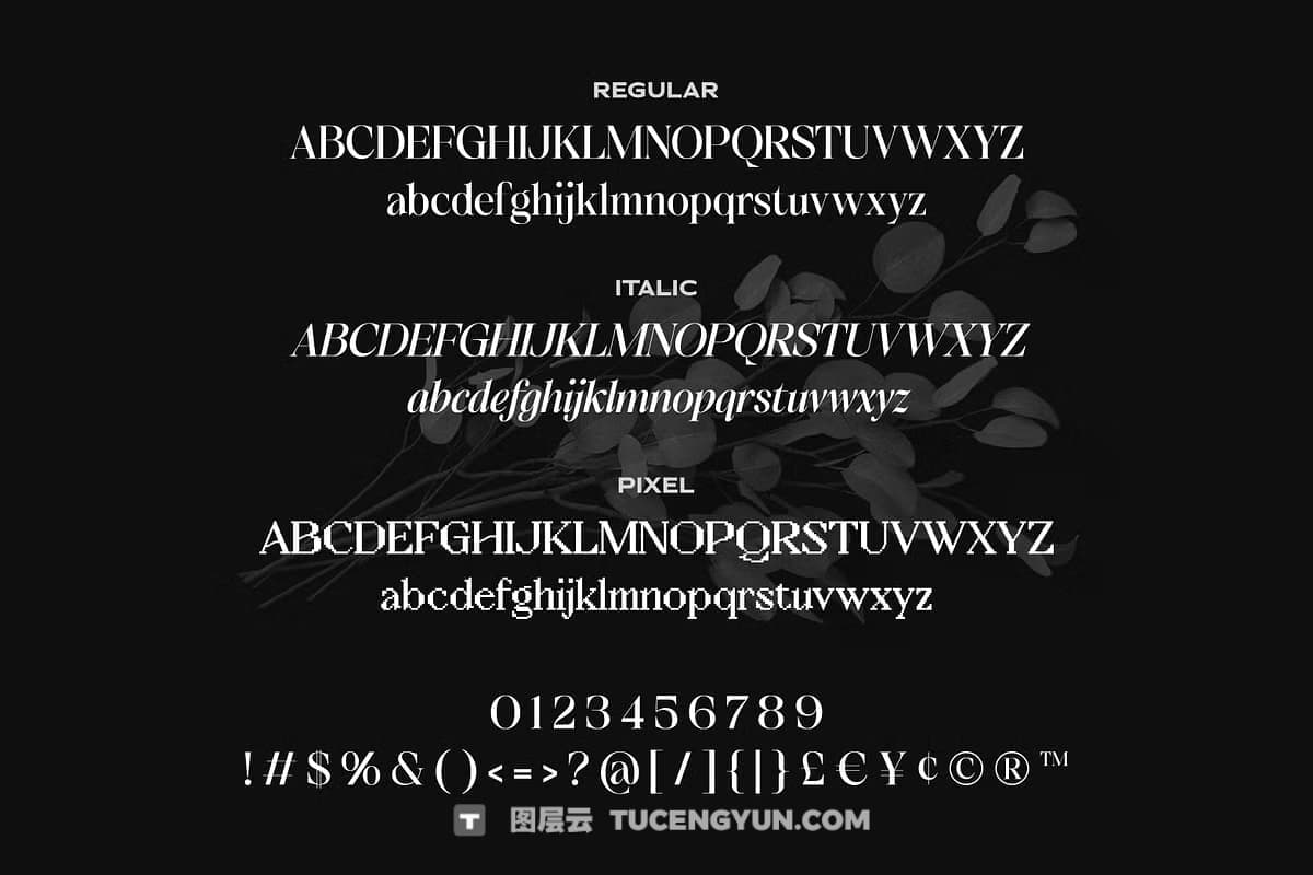 英文字体：豪华现代品牌优雅衬线像素混排logo标题排版封面海报广告设计字体 SS Default Lingo – Display Mix Font（12376）图层云