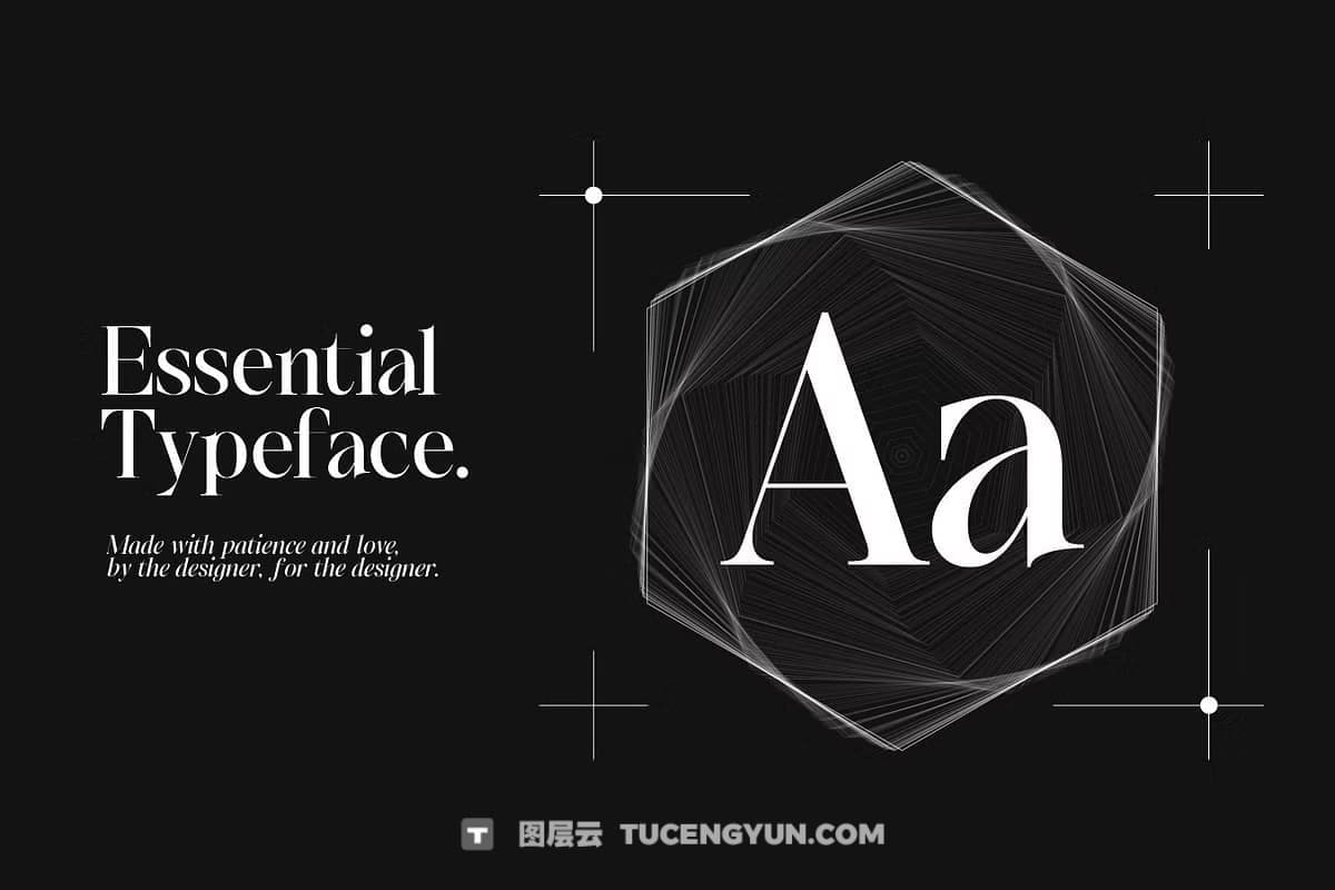 英文字体：豪华现代品牌优雅衬线像素混排logo标题排版封面海报广告设计字体 SS Default Lingo – Display Mix Font（12376）图层云