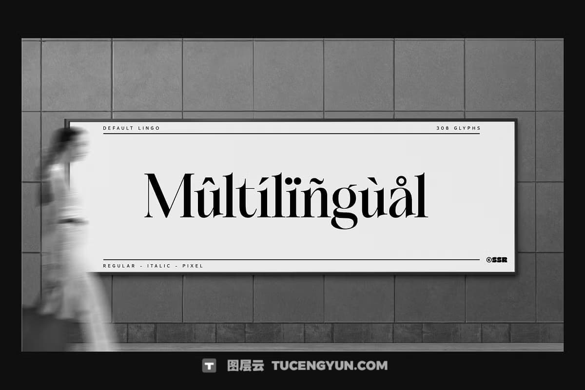 英文字体：豪华现代品牌优雅衬线像素混排logo标题排版封面海报广告设计字体 SS Default Lingo – Display Mix Font（12376）图层云