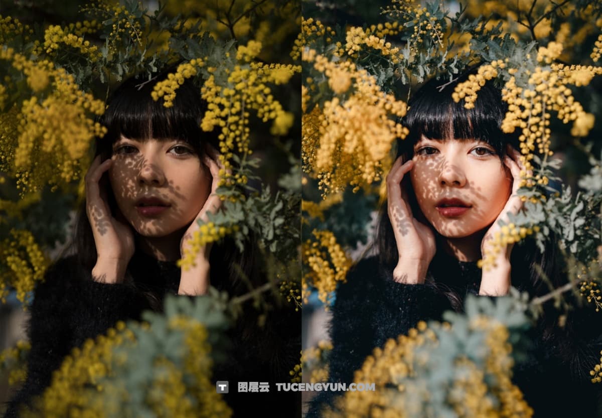 LR预设：日本摄影师山口幸树人像摄影Lightroom调色预设 Kohki – Portrait Essentials Preset（12402）图层云
