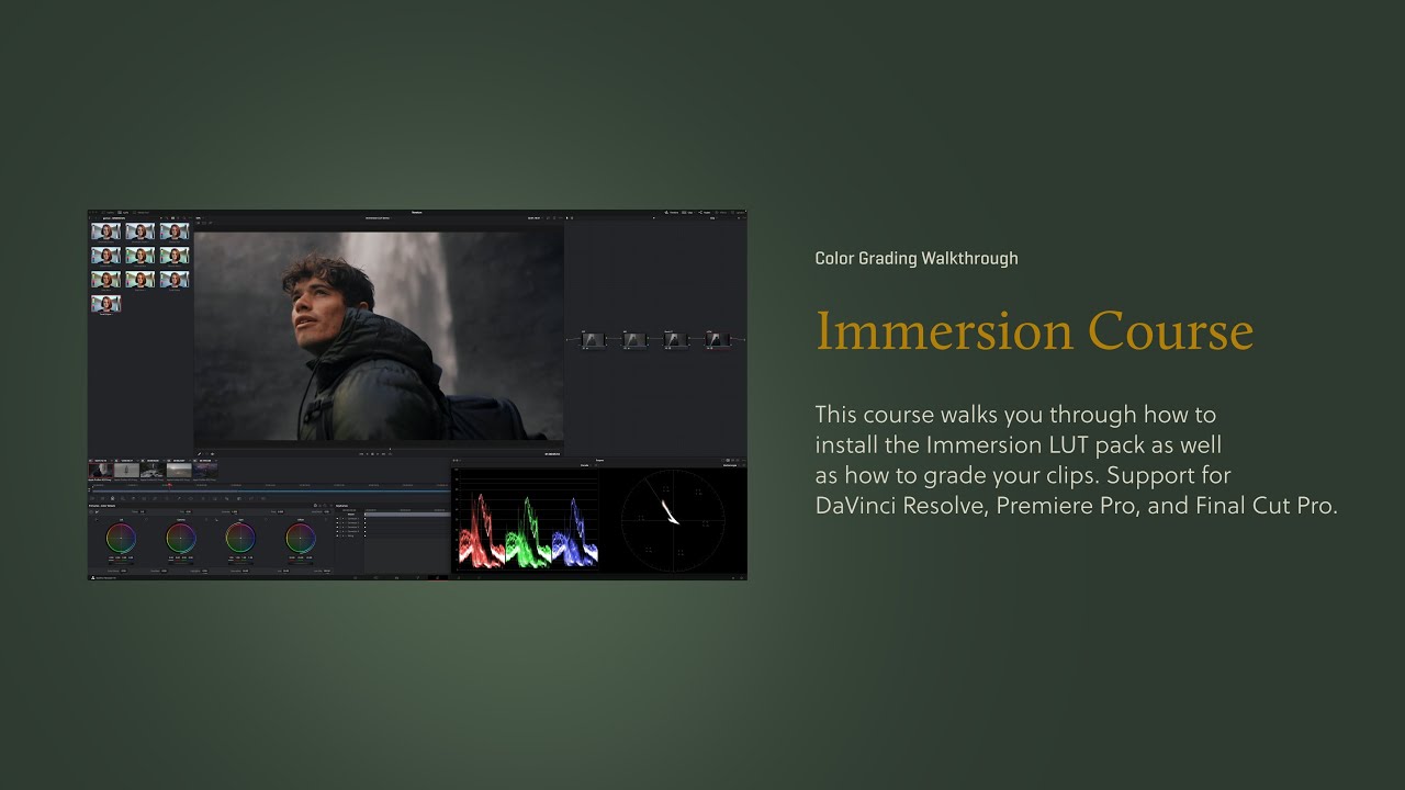 Gamut – Immersion 热门情绪氛围美学旅拍电影感LUT+LR调色预设+练习文件+视频教程（10745）图层云