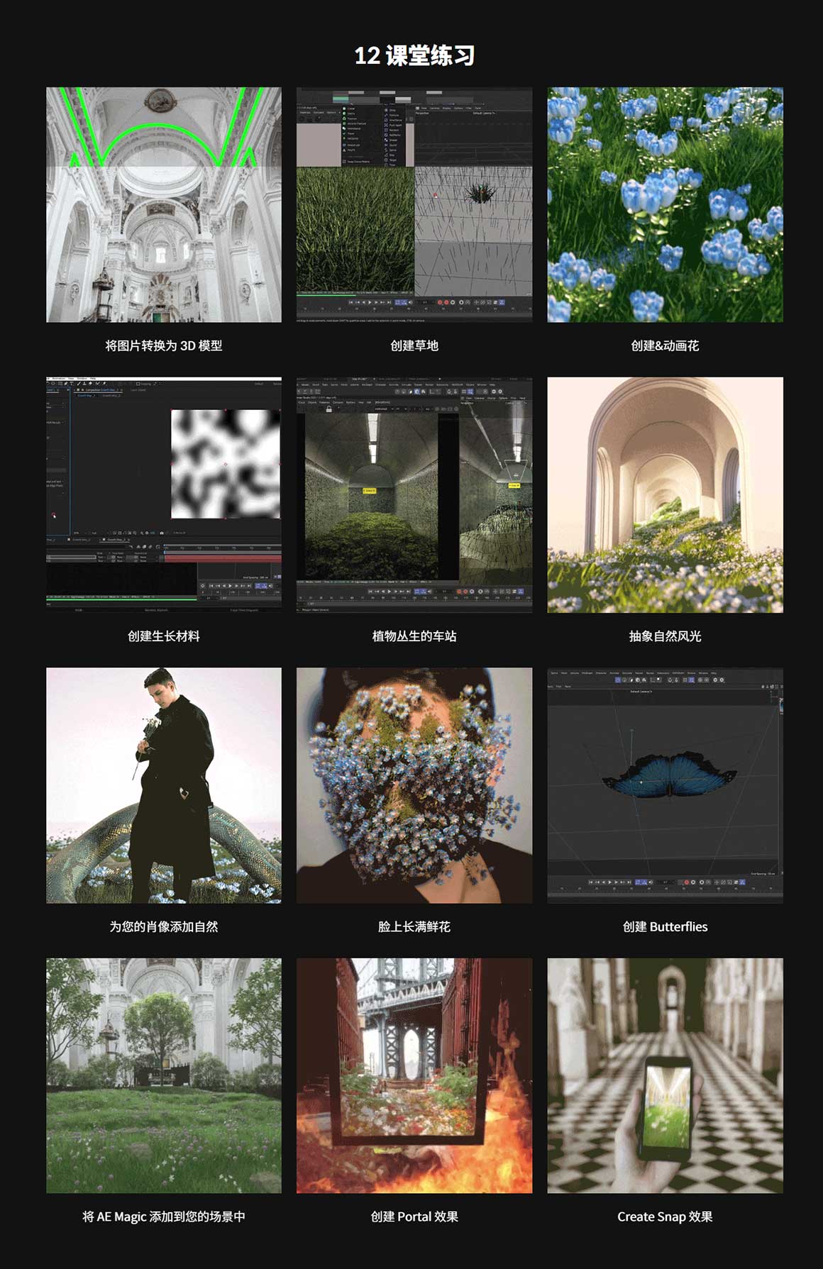 大师课程：超现实主义梦幻3D艺术场景动画创作C4D+OC渲染器视频课程 含工程文件 中文字幕（12513）图层云