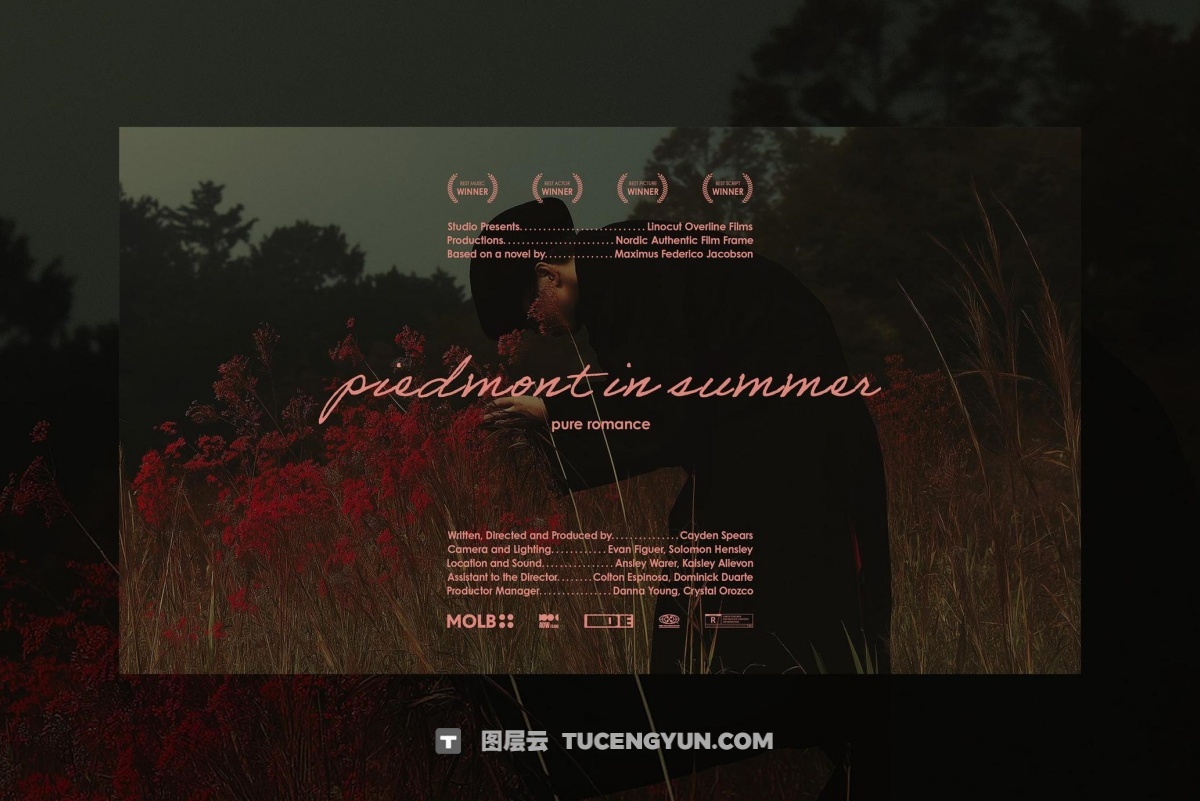 复古怀旧情怀爱情电影片头海报标题排版PSD分层模板套装 Love Movie Titles Collection（12547）图层云