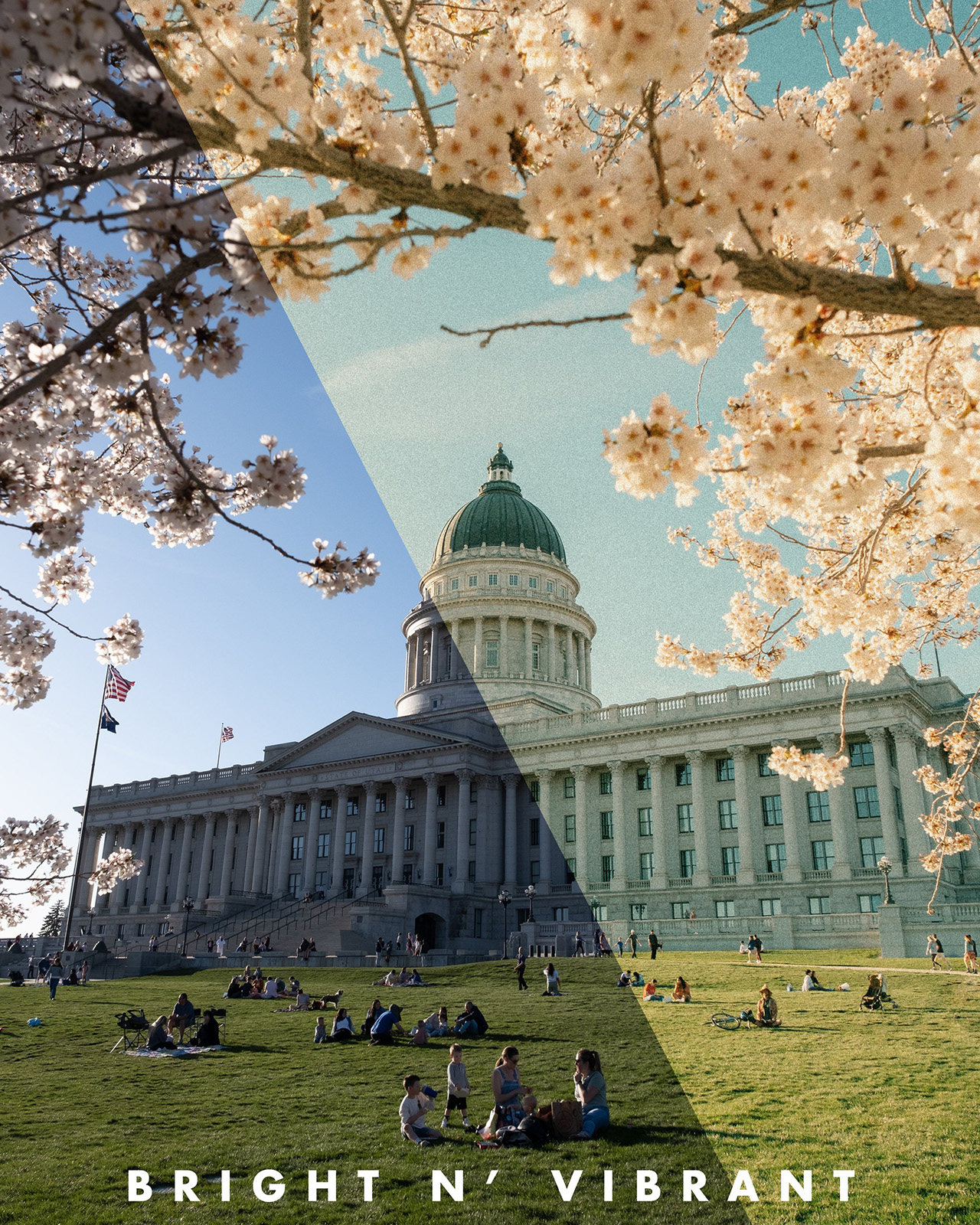 复古风格化胶片模拟颗粒感人文扫街风光摄影Lightroom预设套装 Austin Visual – Film Lightroom Presets Bundle（12552）图层云