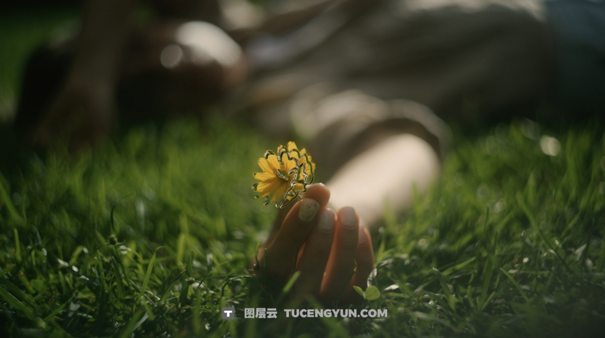 TD源文件：运动反应式液体位移人机互动效果 可更换视频素材（12564）图层云