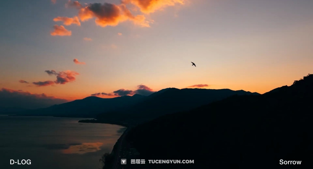 Artlist LUT 332个热门电影风格视频创作者色彩分级LUT调色预设包（12583）图层云