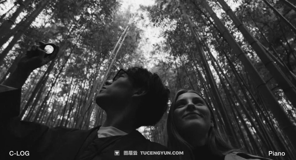 Artlist LUT 332个热门电影风格视频创作者色彩分级LUT调色预设包（12583）图层云