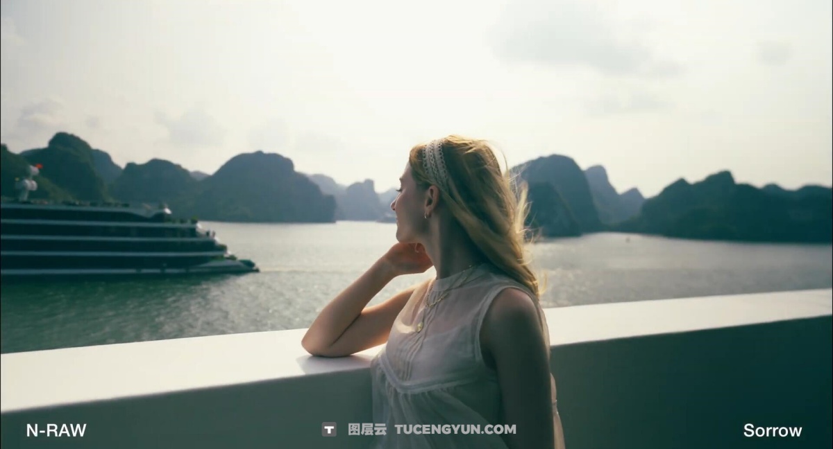 Artlist LUT 332个热门电影风格视频创作者色彩分级LUT调色预设包（12583）图层云