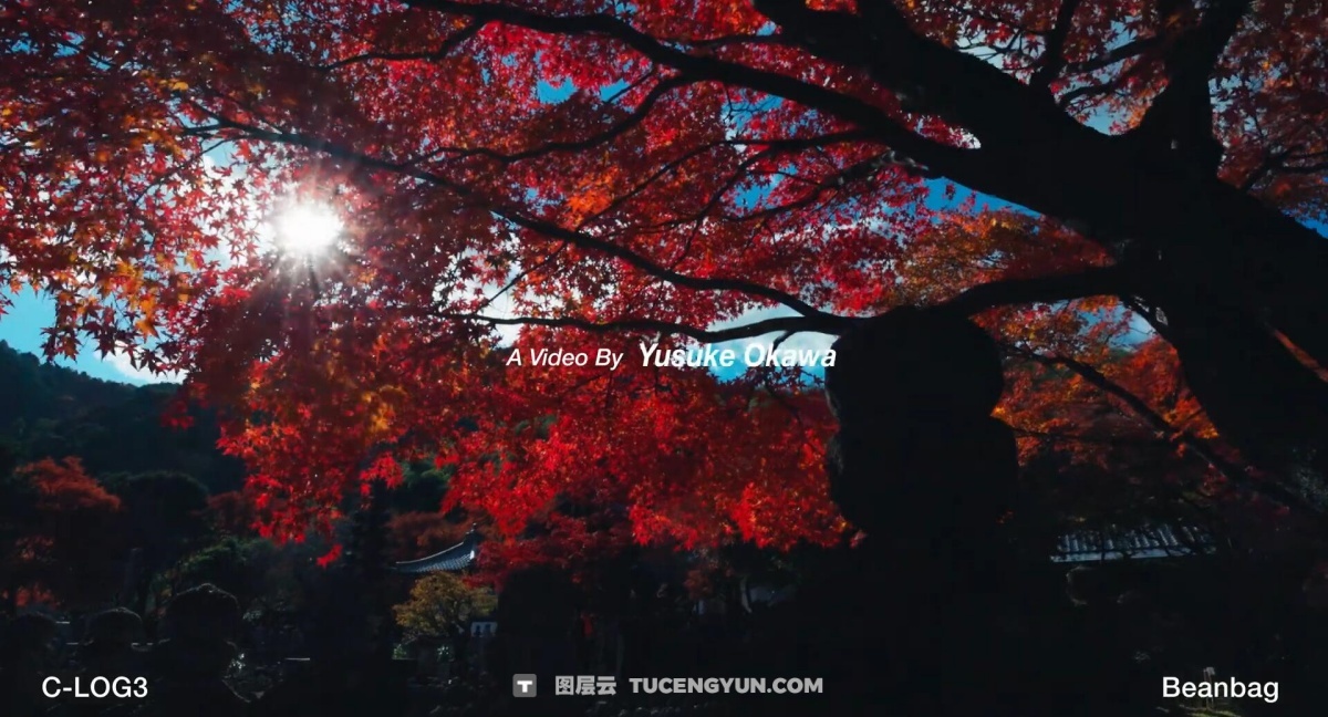 Artlist LUT 332个热门电影风格视频创作者色彩分级LUT调色预设包（12583）图层云