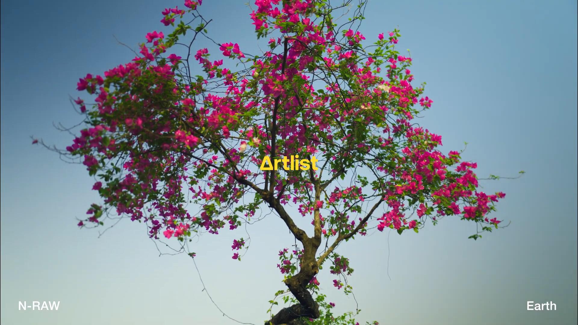 Artlist LUT 332个热门电影风格视频创作者色彩分级LUT调色预设包（12583）图层云