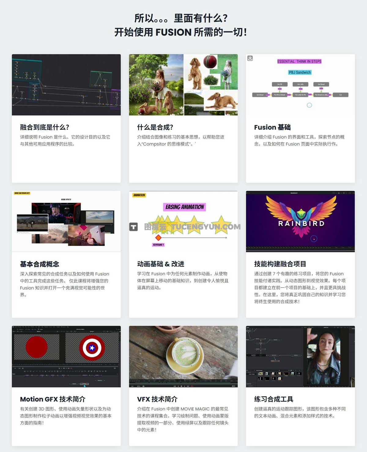 大师课程：达芬奇Fusion动态图形视觉合成VFX视频课程+工程文件 中文字幕（12616）图层云