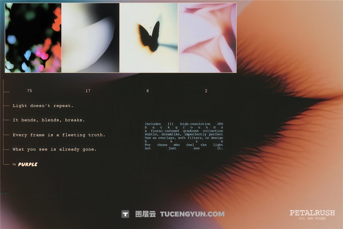 111个浪漫情绪梦幻柔焦花卉绘画渐变运动模糊艺术设计专辑封面JPG背景 PETALRUSH: Floral Backgrounds（12635）图层云