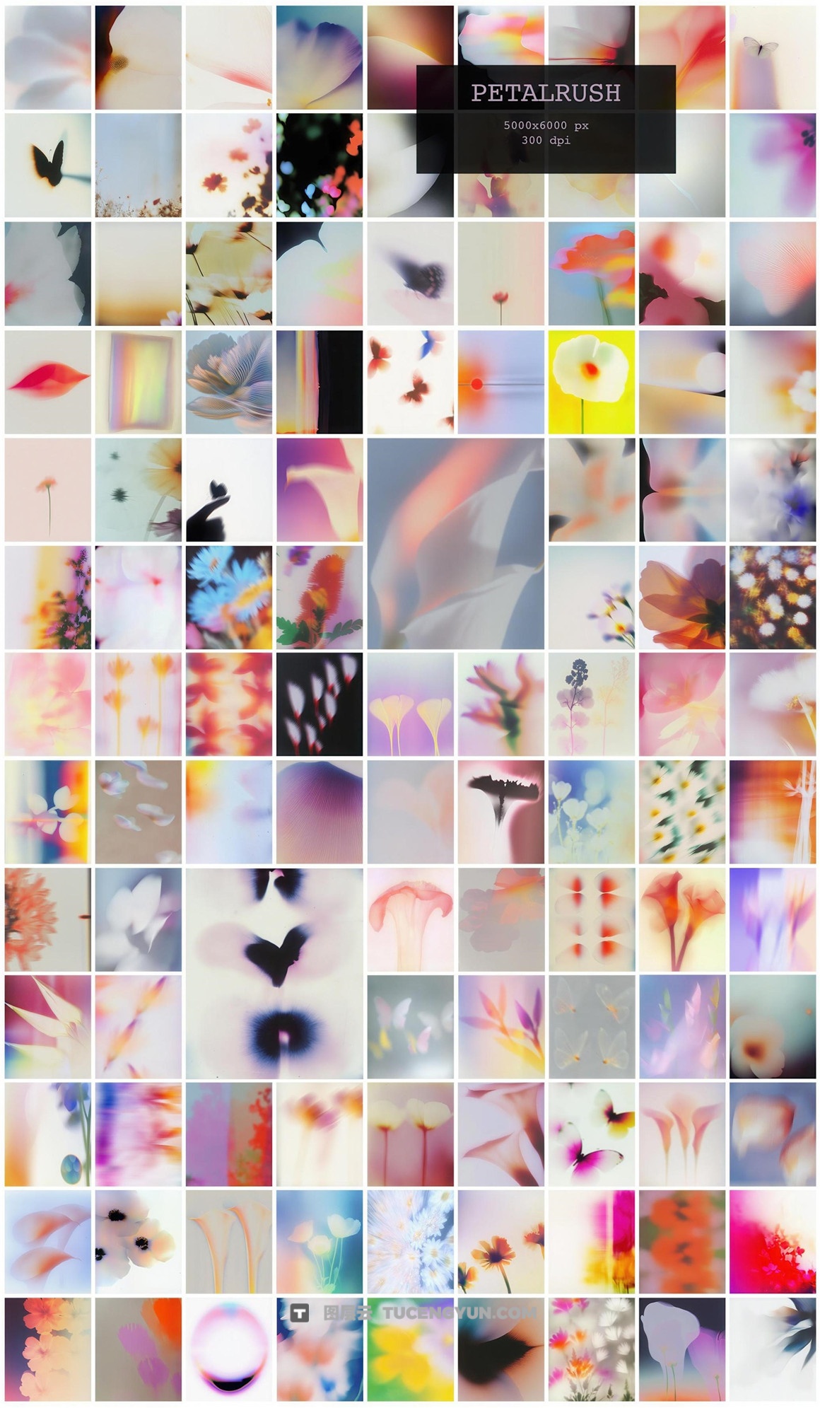 111个浪漫情绪梦幻柔焦花卉绘画渐变运动模糊艺术设计专辑封面JPG背景 PETALRUSH: Floral Backgrounds（12635）图层云