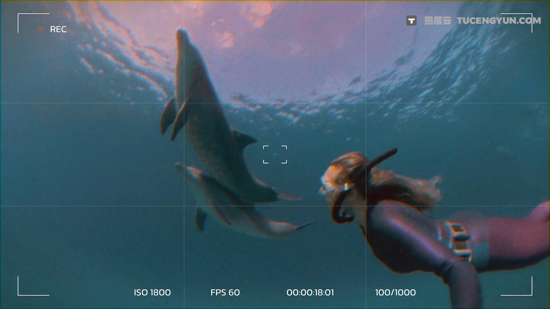 MotionVFX – mTrip 创意Vlog旅拍Insta360全景运动相机运镜视觉效果/转场/文字排版动画FCPX插件（12638）图层云
