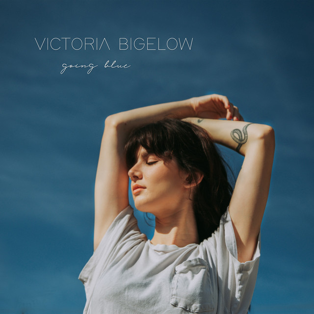配乐：商业级叙事广告短片背景音乐素材 Something/Anything · Victoria Bigelow（12653）