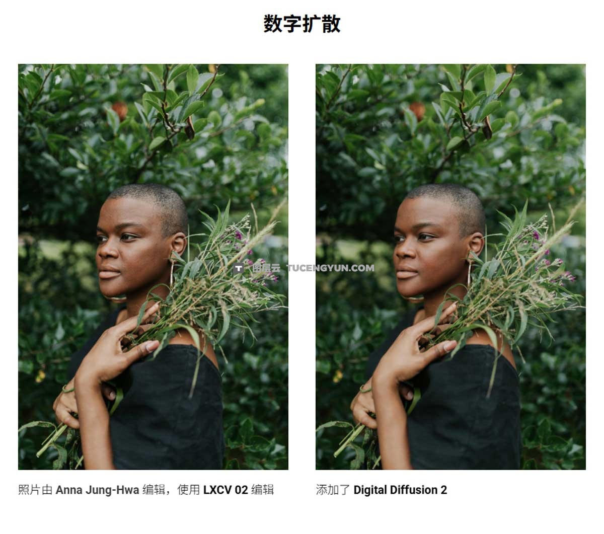 梦幻光芒电影光晕黑柔漫射滤镜人像摄影LR调色预设 Archipelago Quest – TOOLS 11 – Diffusion Filters（12734）图层云