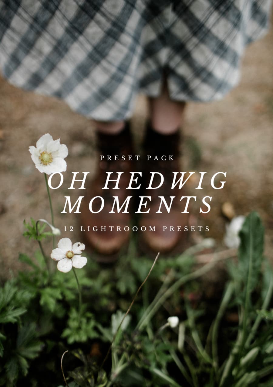 12个复古小众清新庄园风格人像环境摄影LR调色预设 Oh Hedwig Moments – Presets（12758）