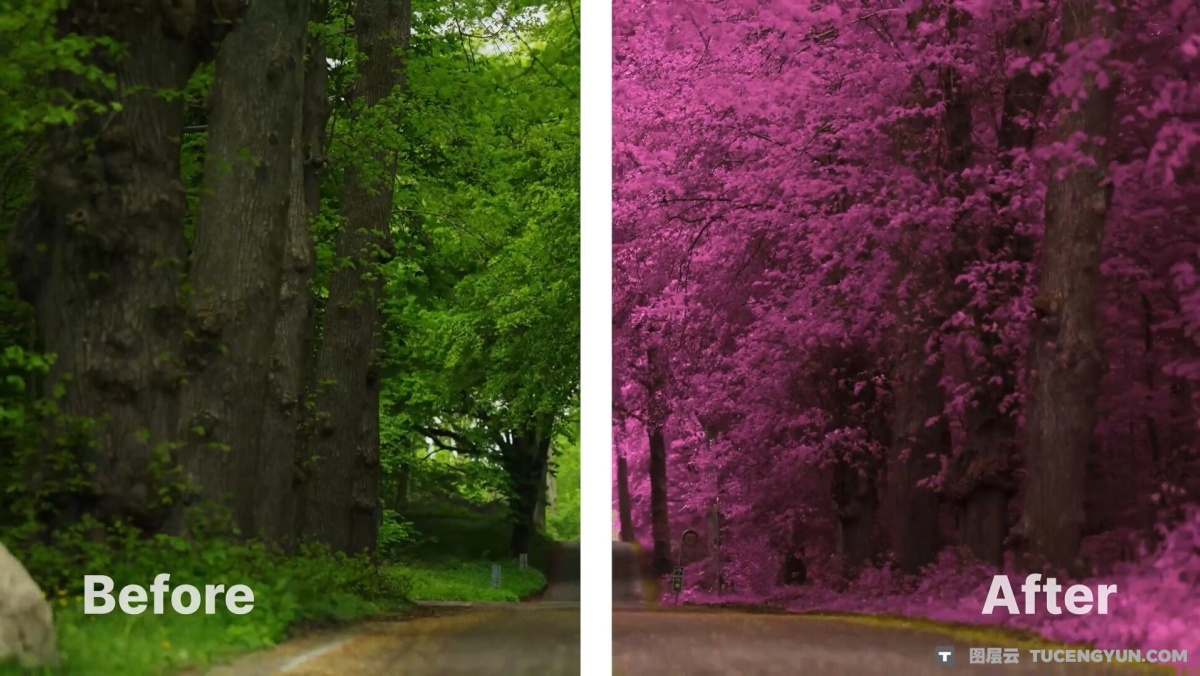 柯达Aerochrome红外胶片模拟风景旅拍摄影电影短片LUT调色预设 Aerochrome: Infrared LUTs（12855）图层云