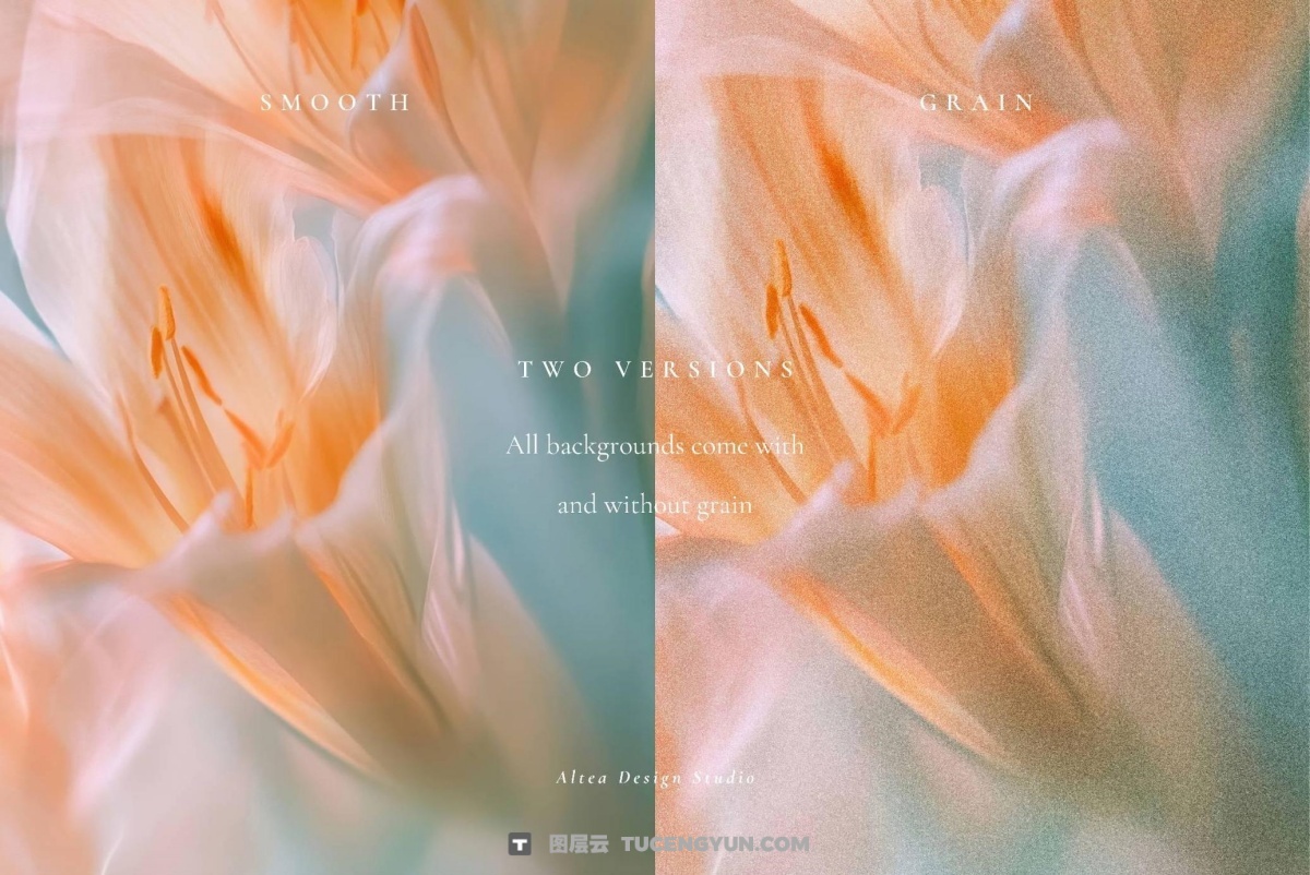 45个梦幻朦胧模糊优雅情绪温柔花朵花卉渐变JPG背景图片套装 Aesthetic Blurry Floral Backgrounds（12918）图层云