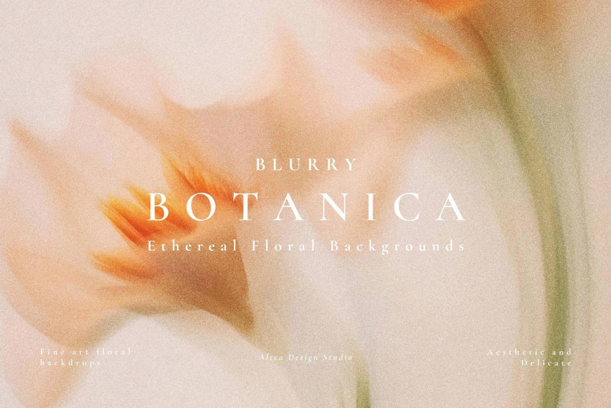 45个梦幻朦胧模糊优雅情绪温柔花朵花卉渐变JPG背景图片套装 Aesthetic Blurry Floral Backgrounds（12918）