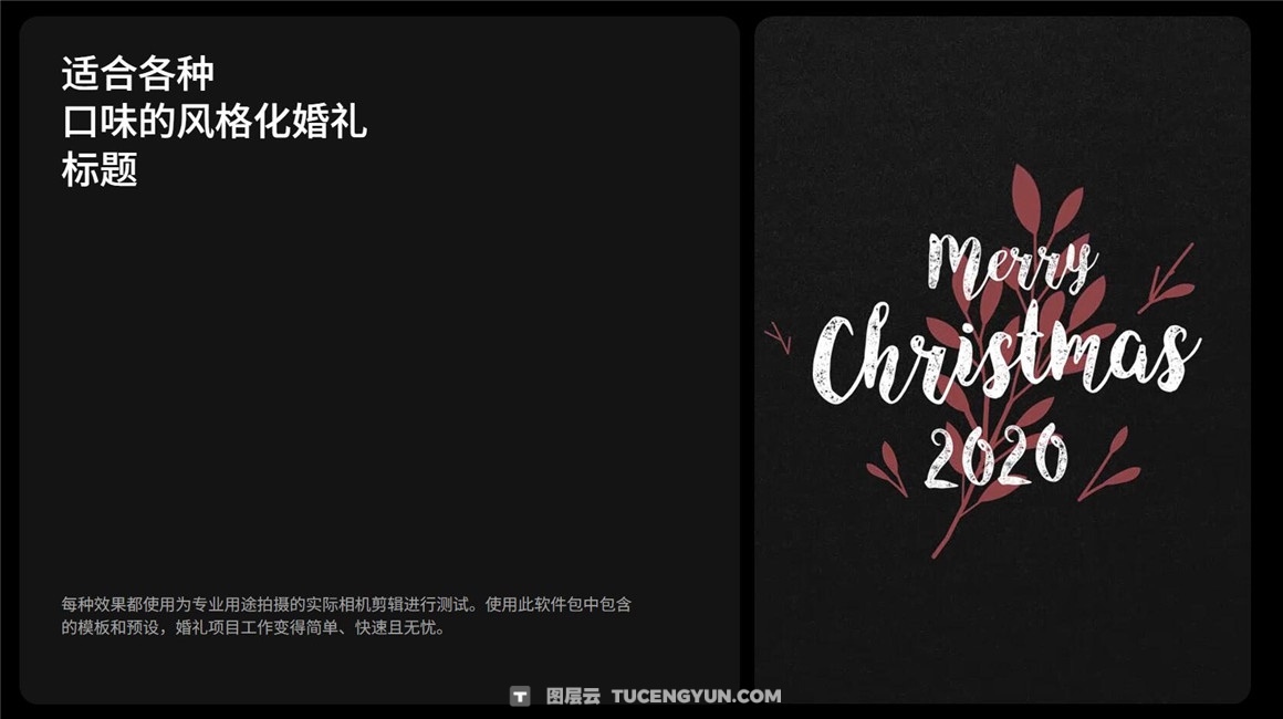 400多个复古婚礼美学旅拍摄影短片LUT调色预设MOV叠加视频标题4K素材套装 Pixflow – Colorify Wedding Essential Pro（12921）图层云