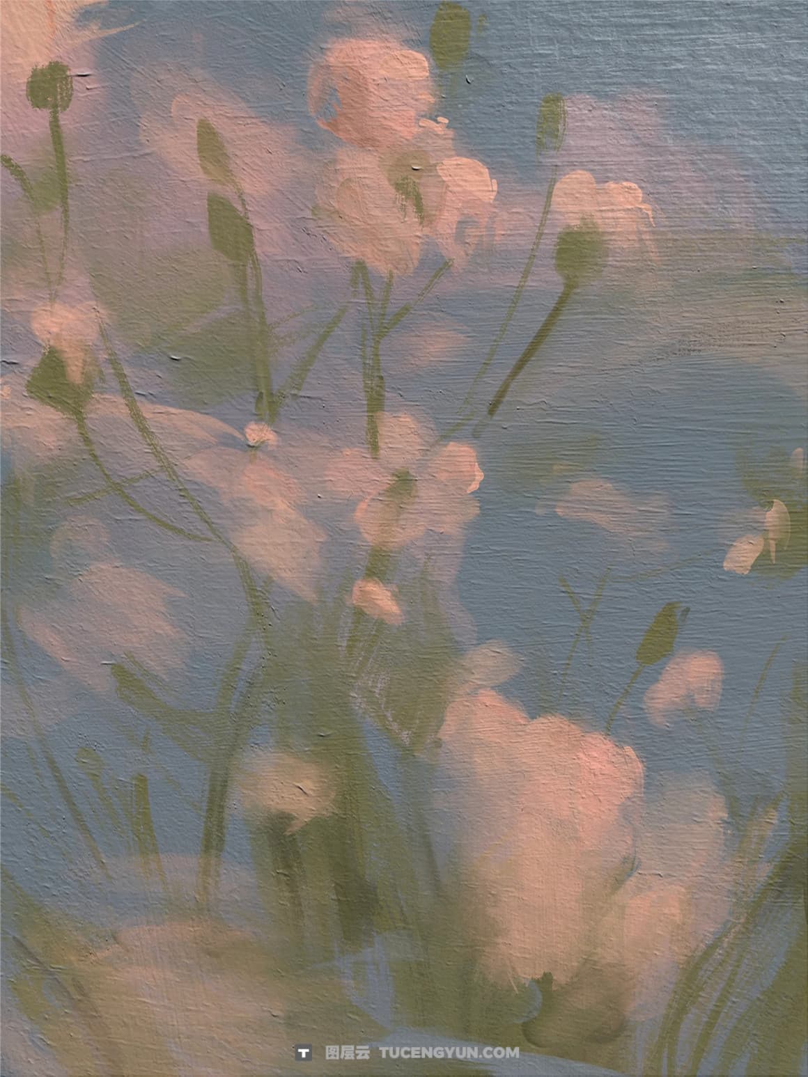 40个韩系风格油画混合干湿粗肌理感绘画Procreate笔刷画布背景纹理预设套装 Ultimate Oil Brush Set for Procreate（12946）图层云