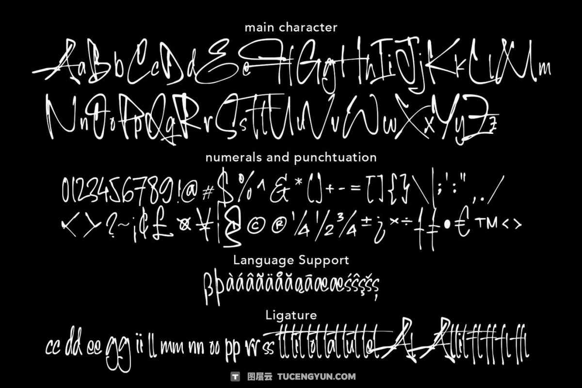 英文字体：大胆真实潇洒笔迹模拟优雅魅力连笔标题排版logo手写字体 Aerial Perspective（12980）图层云
