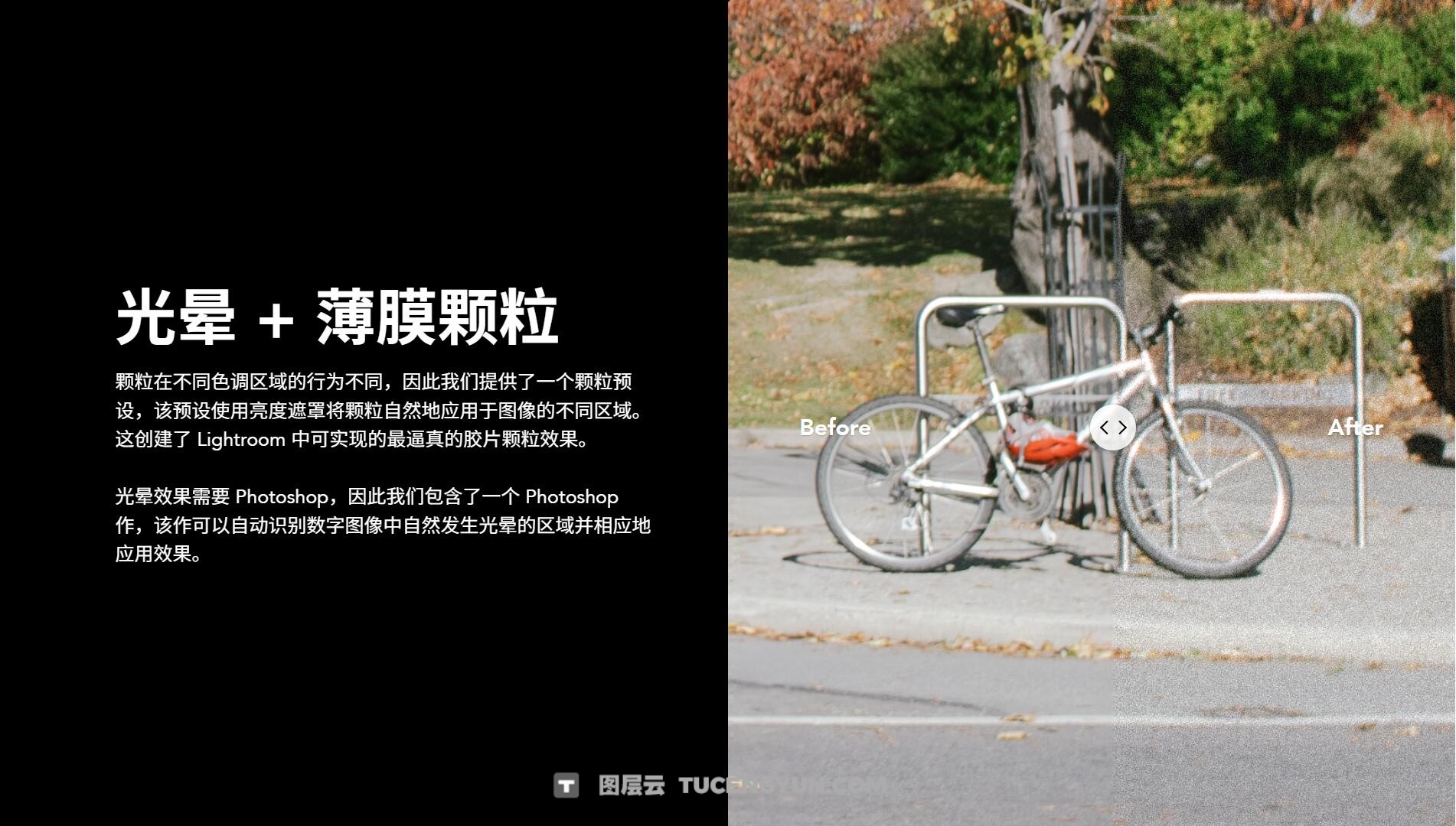 CP Kodak 一键式柯达胶片电影美学怀旧色调光晕颗粒胶片仿真模拟摄影Lightroom调色预设 ColorPrecision – CP Kodak – Lightroom Presets（12955）图层云