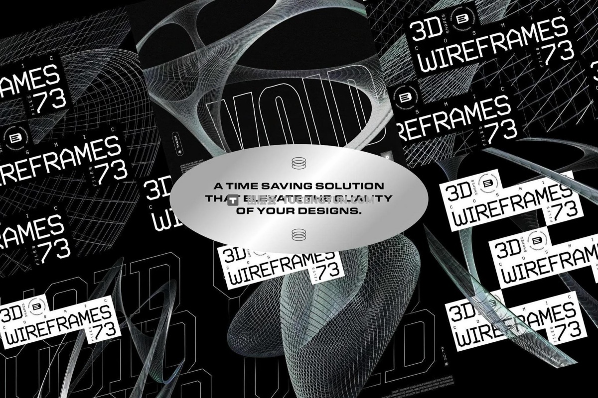 73个混沌抽象未来科幻光泽网状金属镀铬效果3D艺术线框PNG免抠素材 3D Chrome Wireframes（13039）图层云