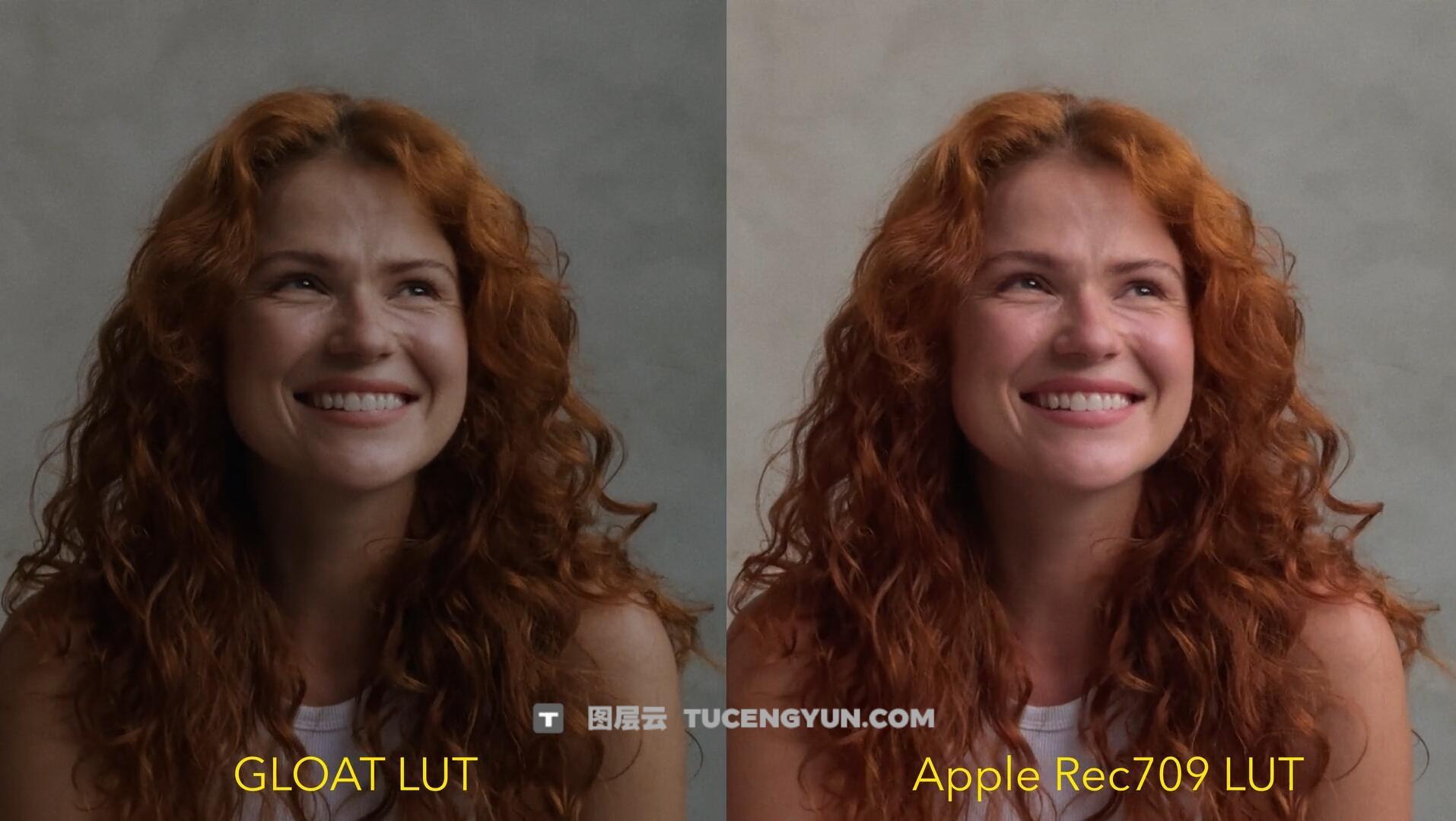 全新iPhone15/16Pro苹果Apple Log电影风格创意外观LUT调色预设+视频教程 GLOAT LUT for Apple Log（13072）图层云