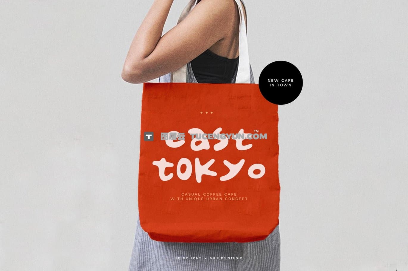 英文字体：复古俏皮厚实时髦磨损粗体logo标题无衬线封面海报设计装饰字体 felmo（13143）图层云