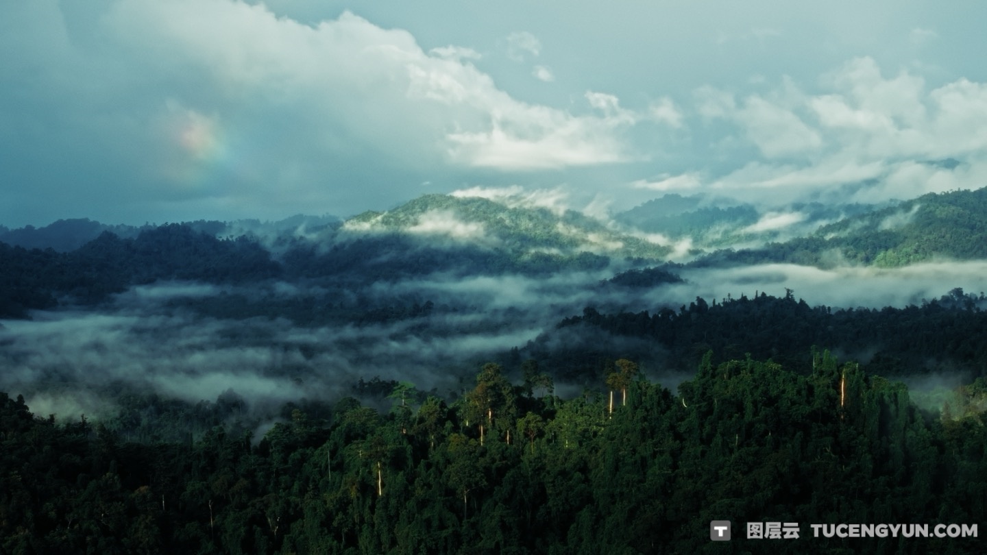 Gamut – Immersion 2.0 热门情绪氛围美学旅拍电影感LUT+练习素材+视频教程（13151）图层云