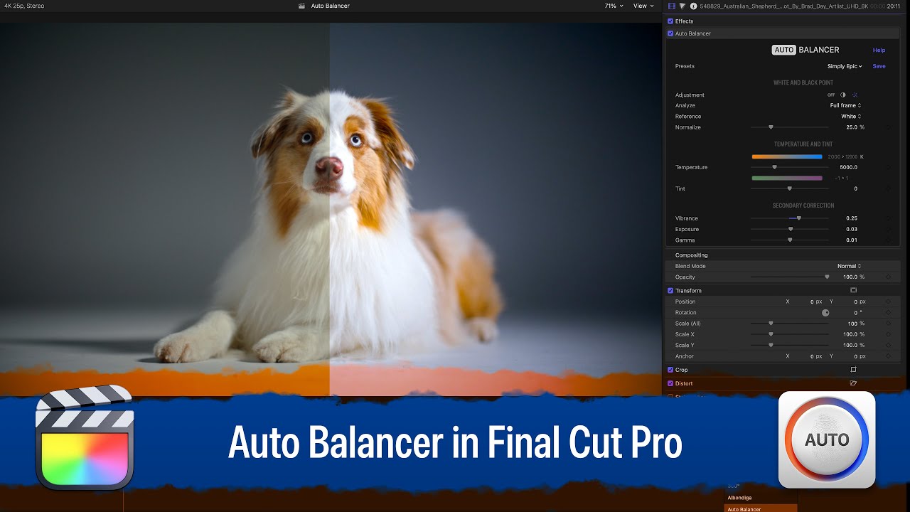 FCPX插件：自动色彩平衡、校正、调整插件 Auto Balancer（13156）图层云