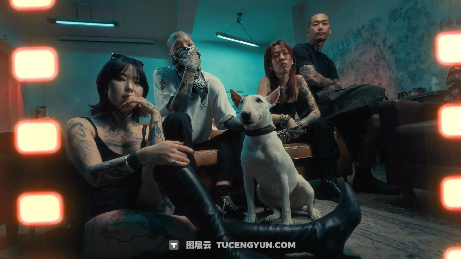 PR模板：35个复古做旧胶片放映机烧焦损坏胶片颗粒边框转场过渡（13162）图层云