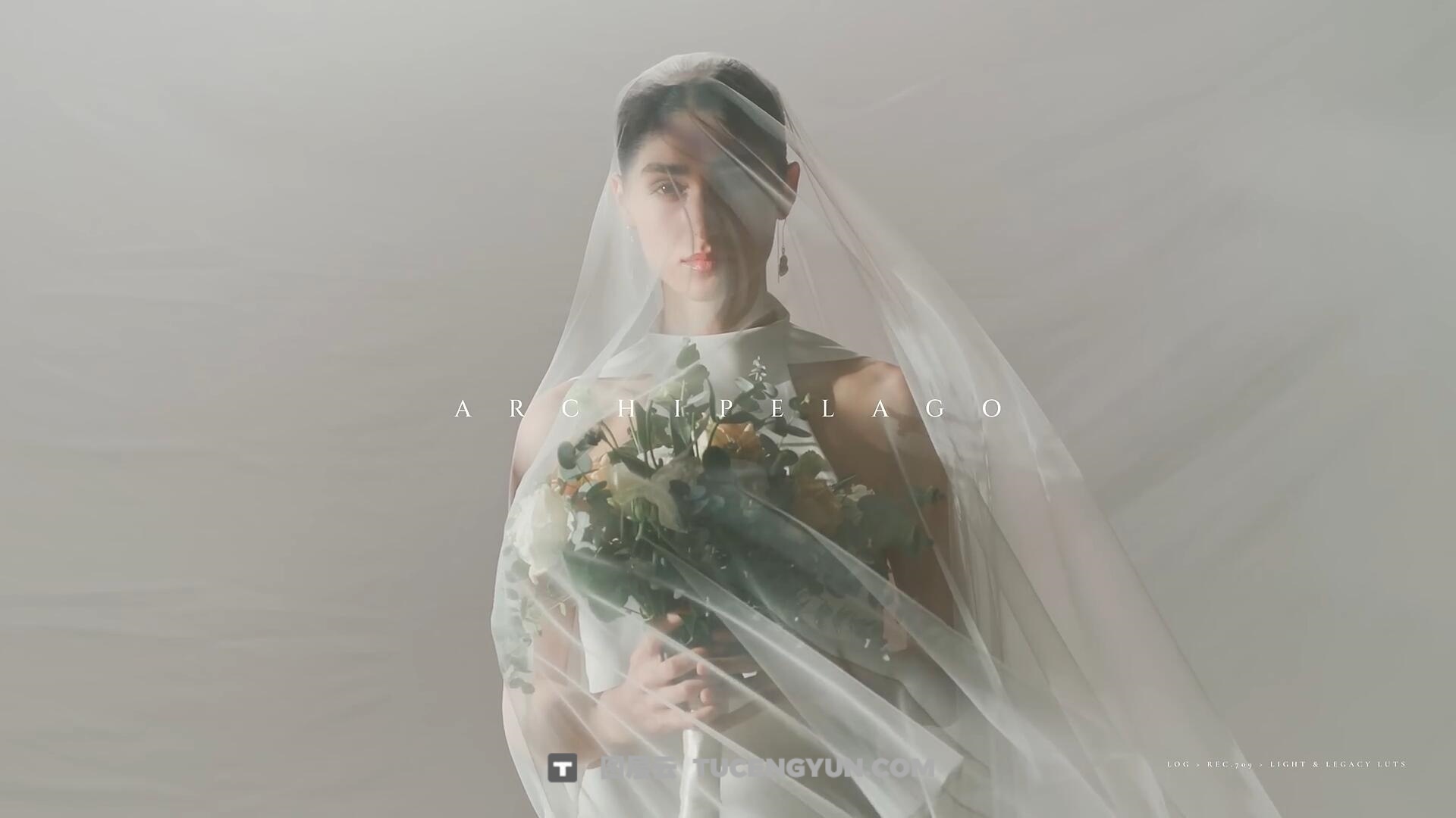 Archipelago 热门梦幻唯美电影美学情绪氛围婚礼旅拍摄影LUT调色预设 Archipelago LIGHT & LEGACY LUTs（13199）图层云