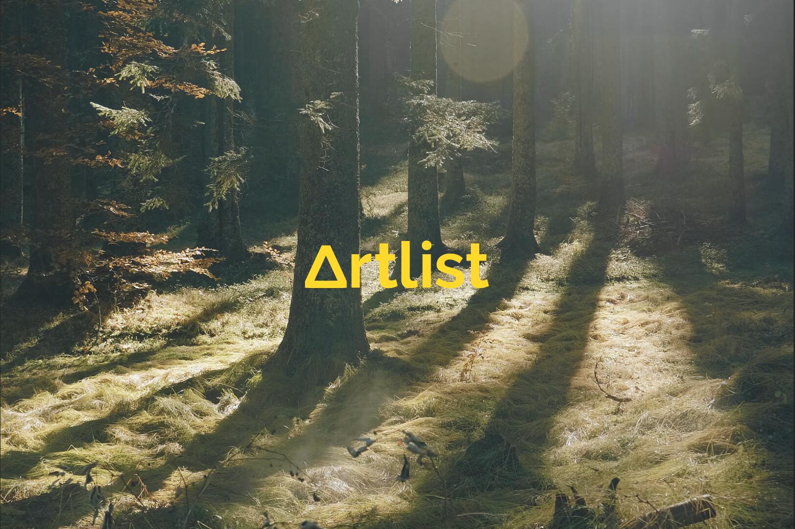 Artlist 14个热门商业广告短片摄像机实拍LOG/RAW原始灰片调色练习片段视频素材（13208）图层云