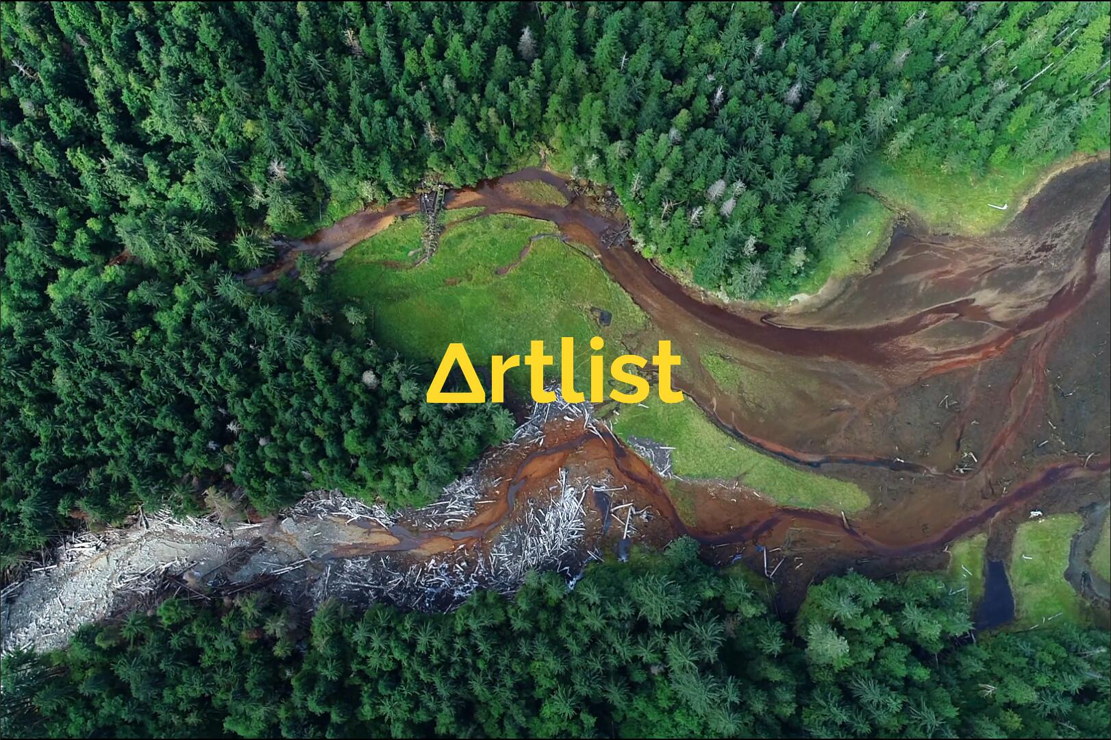 Artlist 14个热门商业广告短片摄像机实拍LOG/RAW原始灰片调色练习片段视频素材（13208）图层云