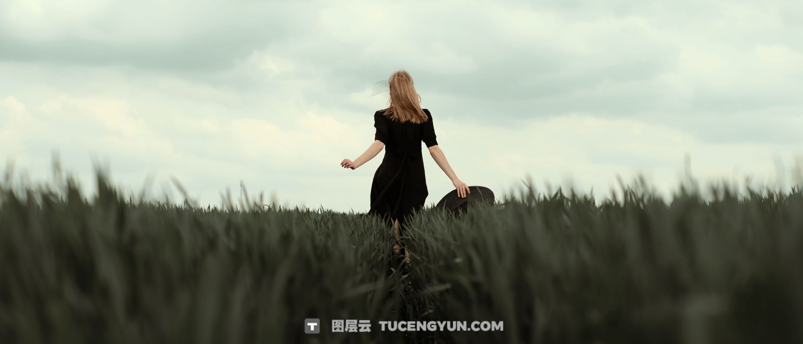Gamut-FORIS 大胆棕绿色调婚礼、户外、风景、旅拍VLOG短片电影LUT调色预设（13227）图层云