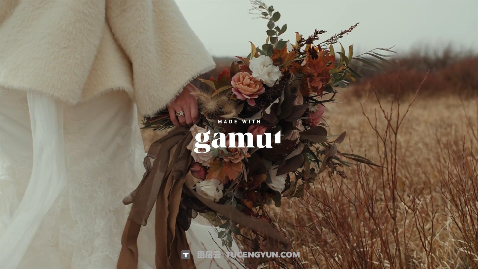 Gamut-FORIS 大胆棕绿色调婚礼、户外、风景、旅拍VLOG短片电影LUT调色预设（13227）图层云