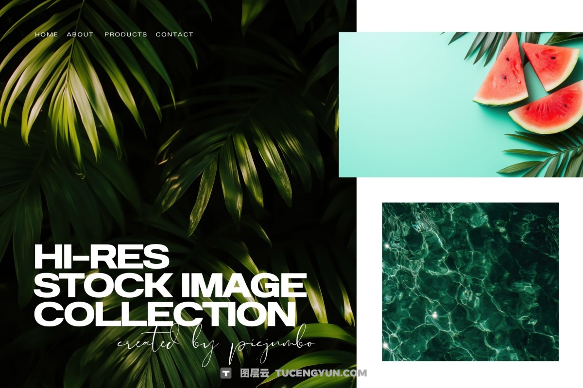 100个经典热带夏季黄昏文艺海滩热带植物水果海面JPG+MP4背景素材 Tropical Vibes（13228）图层云