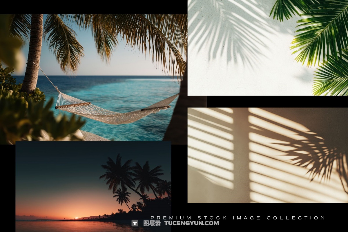 100个经典热带夏季黄昏文艺海滩热带植物水果海面JPG+MP4背景素材 Tropical Vibes（13228）图层云