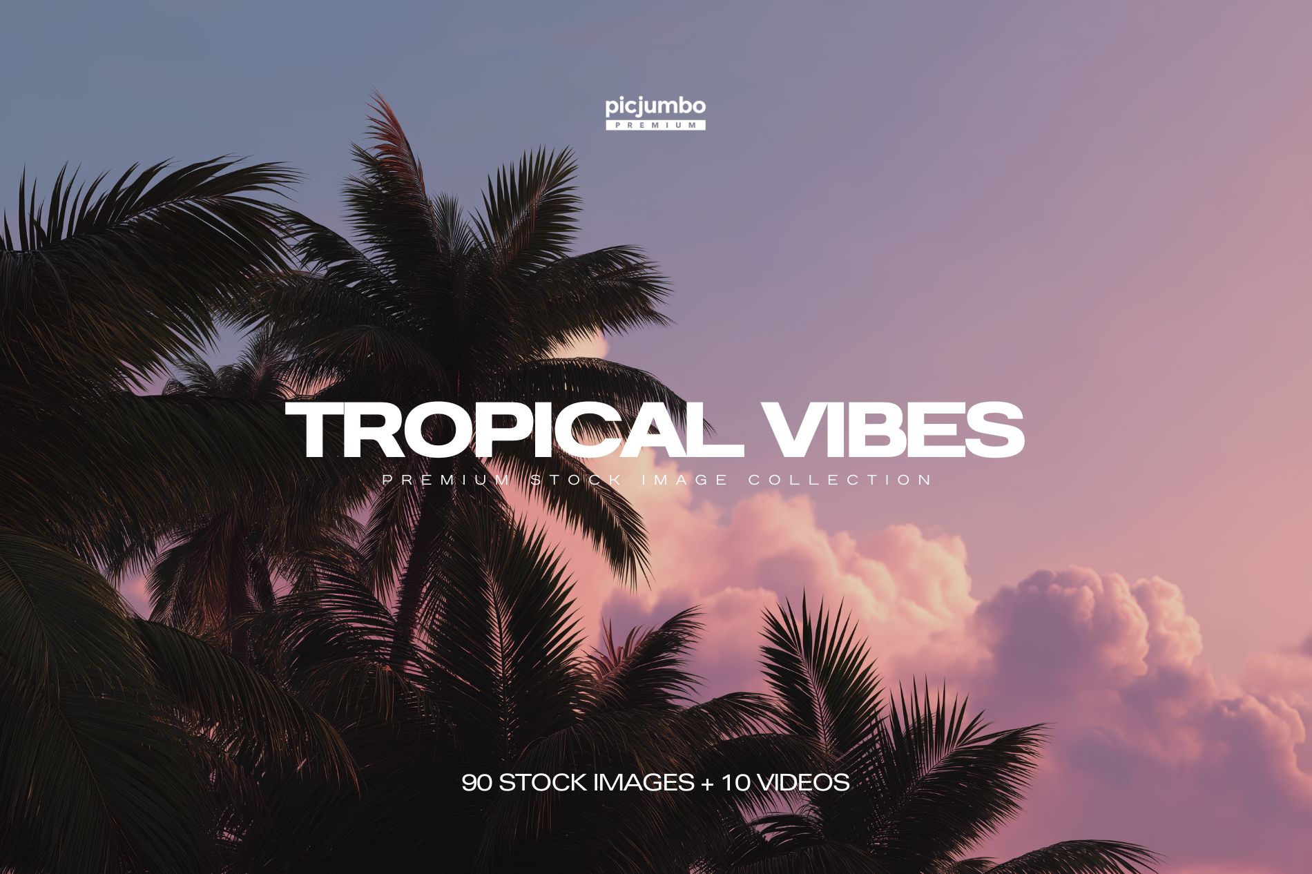 100个经典热带夏季黄昏文艺海滩热带植物水果海面JPG+MP4背景素材 Tropical Vibes（13228）