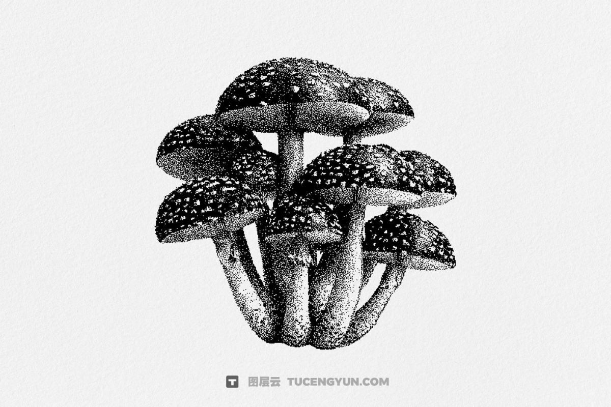120款暗黑仿旧Y2K低保真像素颗粒位图艺术AI矢量插画图形PNG图片设计元素套装 Dark Aesthetic Dithering Graphic Bundle（13257）图层云