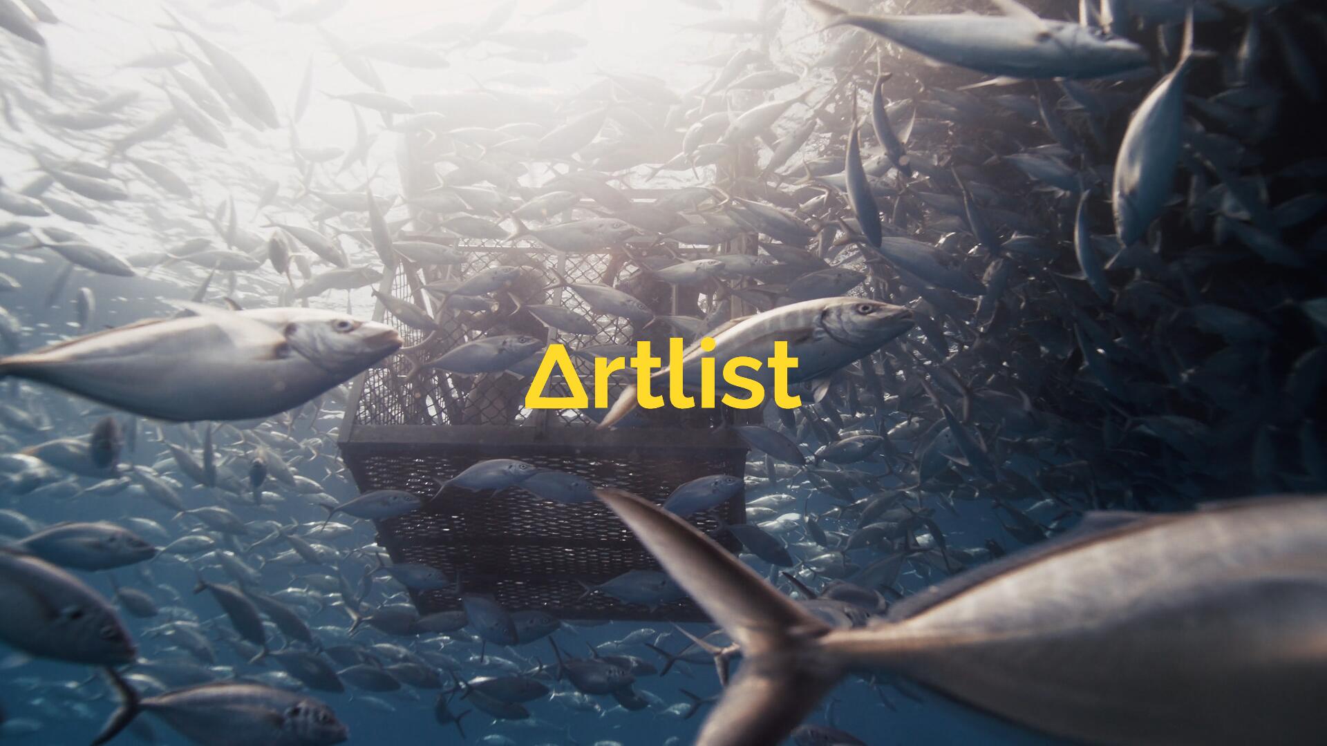 Artlist 21个热门商业广告短片摄像机实拍LOG/RAW原始灰片调色练习片段视频素材（13286）图层云