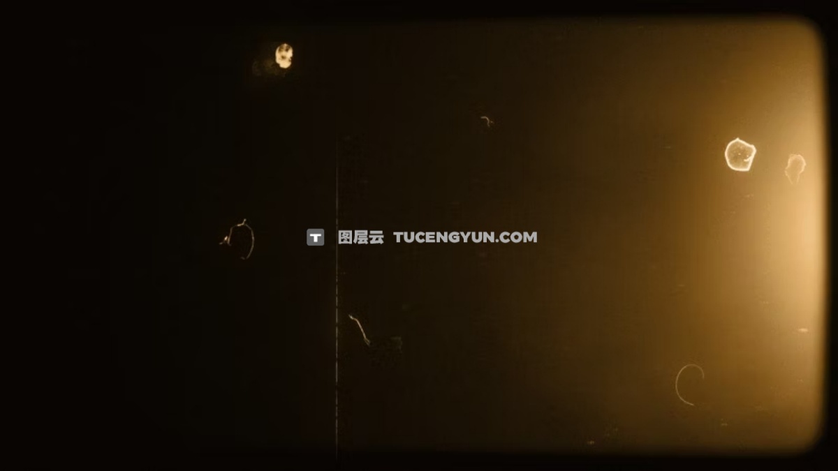 Artlist 20款复古美学邋遢旧棕褐色薄膜效果叠加纹理视频素材+音效素材 Sepia Old Sepia Vertical Film Effects（13293）图层云