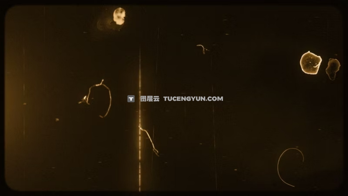 Artlist 20款复古美学邋遢旧棕褐色薄膜效果叠加纹理视频素材+音效素材 Sepia Old Sepia Vertical Film Effects（13293）图层云