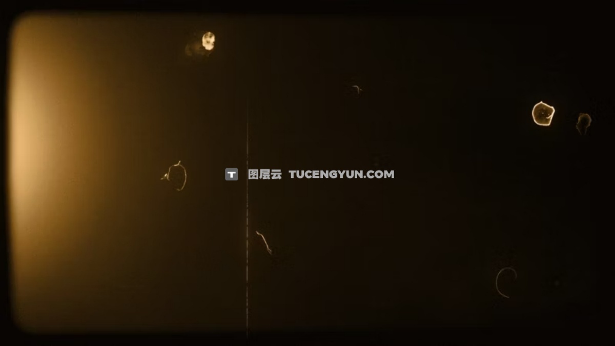 Artlist 20款复古美学邋遢旧棕褐色薄膜效果叠加纹理视频素材+音效素材 Sepia Old Sepia Vertical Film Effects（13293）图层云
