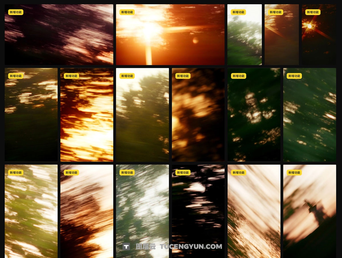 Artlist 63个复古王家卫慢快门风格夕阳、树木、自然环境、擦拭转场过渡视频素材 包含横竖屏（13325）图层云