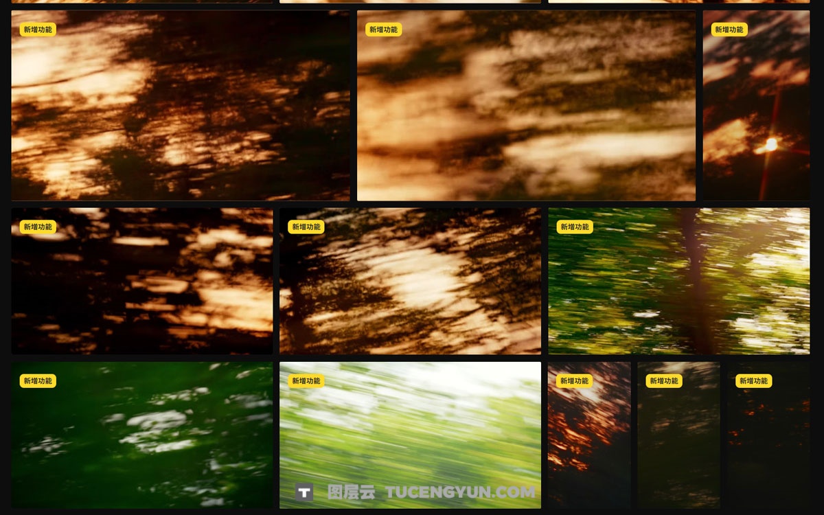 Artlist 63个复古王家卫慢快门风格夕阳、树木、自然环境、擦拭转场过渡视频素材 包含横竖屏（13325）图层云