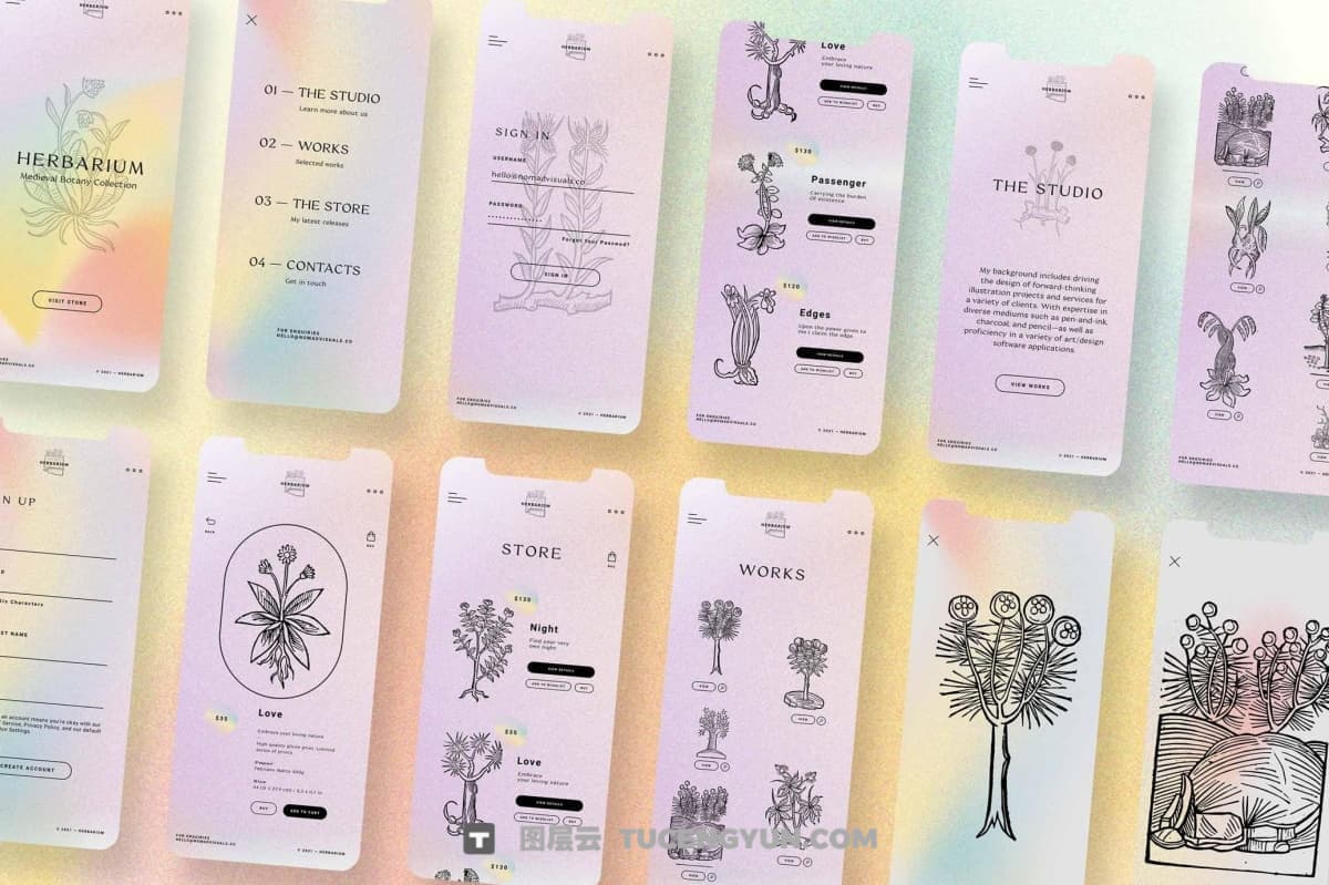 450个复古中式意境植物树枝树叶插花盆栽盆景AI矢量图形手绘插画设计套装 Herbarium Medieval Botany Collection（13346）图层云